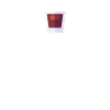 Whisky ist flüssiges Sonnenlicht