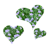Cœur de fleur