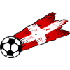 The Swiss Football Supporters