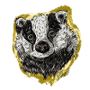 The Badger
