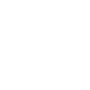 Professional Dog Walker