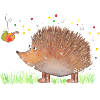 Hedgehog Harry
