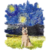 Starry Night - Alaskan Husky