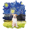 Starry Night - American Pitbull