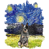 Starry Night - Australian Beef