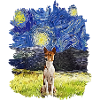 Starry Night - Basenji