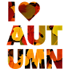 I LOVE AUTUMN