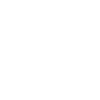 Basketball Champions