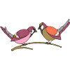 Bunte Vögel
