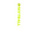 Softball États-Unis