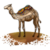 Kamel