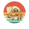 Crabe Ermite Crabe Crabe Cancer