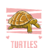 Turtle Sea Turtle Turtle Animal