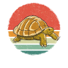 Turtle Sea Turtle Turtle Animal