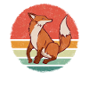 Fox Foxes Animal