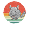 Chinchilla Chinchilla's Mouse