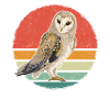 Eule Vogel Tier Eulen