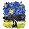 Starry Night - Berner Berg
