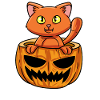 Citrouille de chat