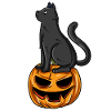 Citrouille chat d’Halloween
