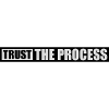 trust the process Quote