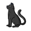 Chat noir
