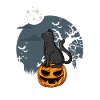 Black cat on pumpkin