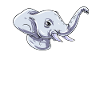 Elephant's Head Elephant