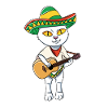 Guitar playing cat