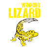Leopard Gecko Lizard Reptiles Herpetologist