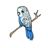 Kawaii blue budgerigar