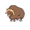 Kawaii moskusokse