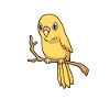 Kawaii yellow budgerigar