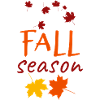 Fall season. Cadeau pour l'automne