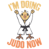 Judo Randori