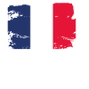 Official Guadeloupe Flag Guadeloupean Gwadloup