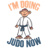 Judo Randori