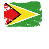 Drapeau officiel guyanais Country Pride