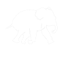salvare animali animali elefante animali attivisti per i diritti degli animali