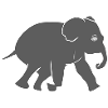 Symbole animal d’éléphant Gris