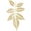 Blatt Rose / Kunstdruck