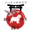 Norwich Terrier Japon Kanji