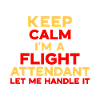 Flight Attendant Stewardess Cabin Crew