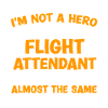 Flight Attendant Stewardess Cabin Crew