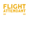 Flight Attendant Stewardess Cabin Crew