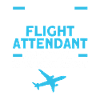 Flight Attendant Stewardess Cabin Crew