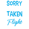 Flight Attendant Stewardess Cabin Crew