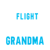 Flight Attendant Stewardess Cabin Crew