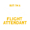 Flight Attendant Stewardess Cabin Crew