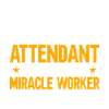 Flight Attendant Stewardess Cabin Crew